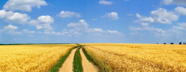 1200x232_FAQ banner