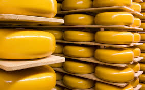 Nederlandse kaas