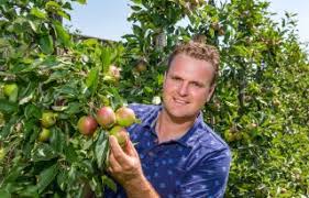 Nieuwe oogst Nederlandse appelen