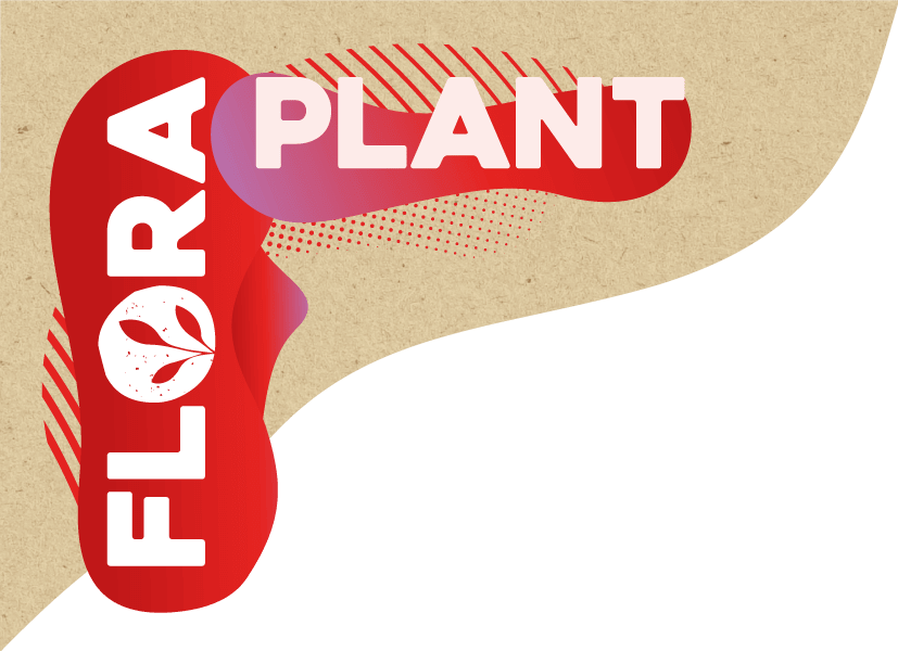 FLORA PLANT, ALS BOTER, MAAR BETER