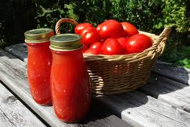 Pomodorie, het ‘gouden appeltje’ onder de tomaten